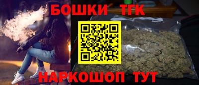 индика Можайск