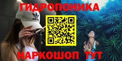 индика Можайск